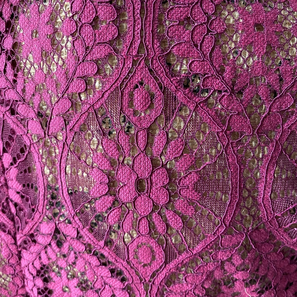 Lulus sheer lace midi dress - Picture 6 of 6